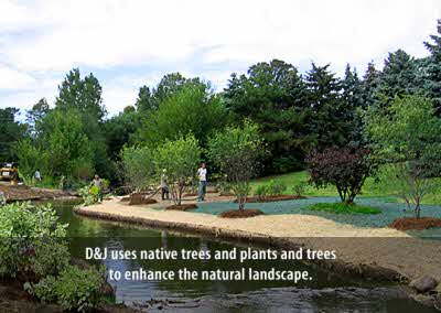 D&J Ferry-Drain_landscaping