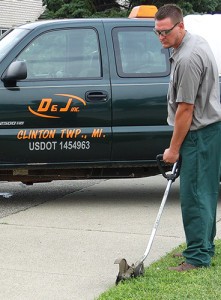 D&J Edge Trimming, Landscaping
