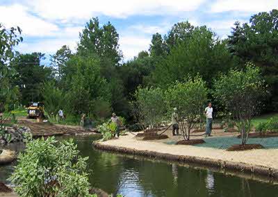 Featured-project-3 Ferry Drain