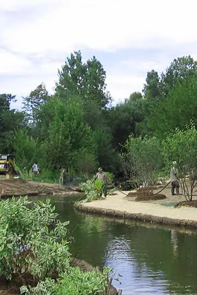 Ferry Drain Landscaping