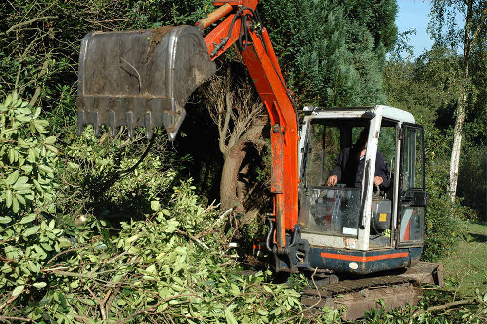 Providing Services Of: brush clearing near me, brush clearing service near me, brush clearing services, brush clearing services near me, clearing brush and small trees, brush clearing skid steer, brush cutting services, brush clearing cost, brush clearing prices, brush clearing companies near me, brush clearing business, bush clearing services, brush and land clearing, brush and tree clearing, brush mulching service near me, clearing overgrown brush, clearing trees and brush, brush clearing and removal, brush clearing contractors, brush clearing contractors near me, brush clearing with skid steer, brush hog clearing land, clearing backyard brush, land clearing brush cutter, tree and brush clearing service, tree removal brush clearing