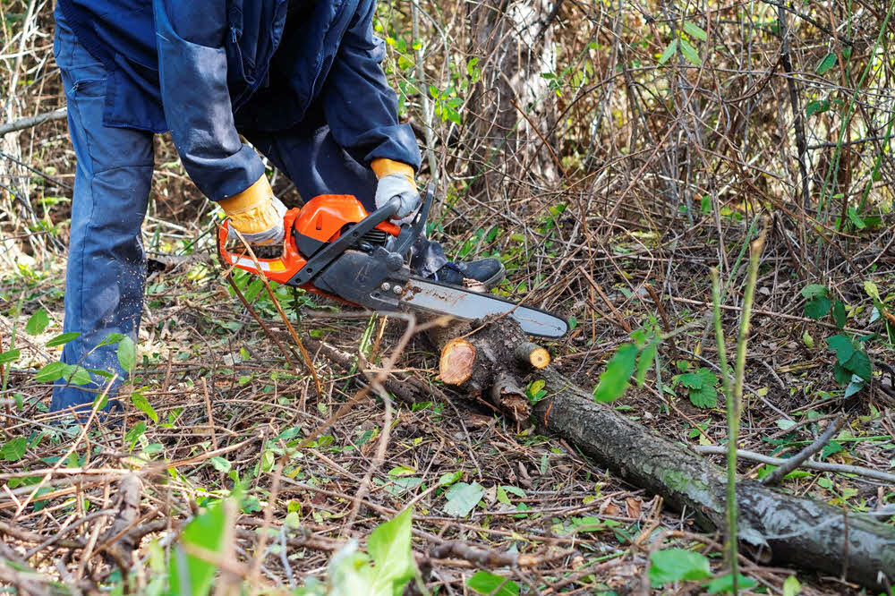 Land Clearing Services in Adair, MI