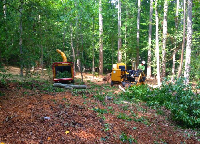 Ground Clearing in Lake Orion, MI