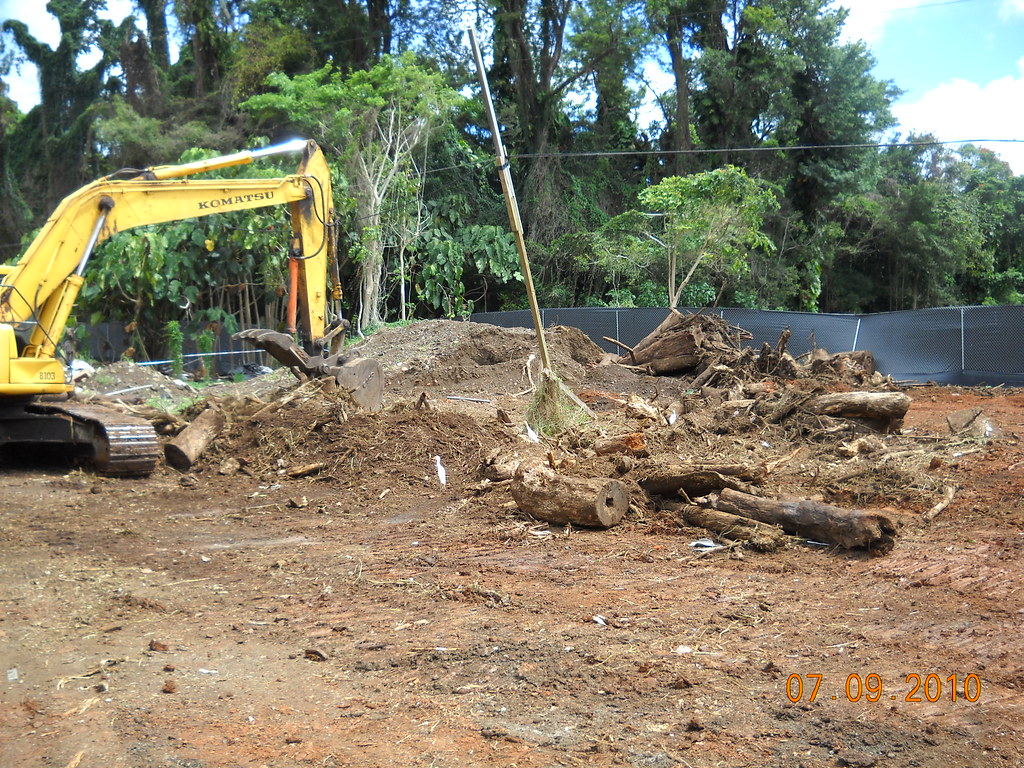 Ground Clearing in Berville, MI