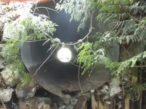 View Through Culvert