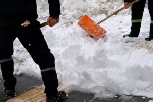 Snow Management Service