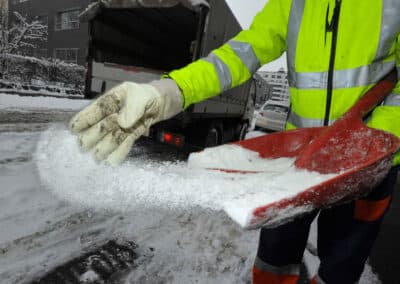 Snow Salting Service